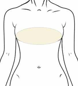 Female Breasts