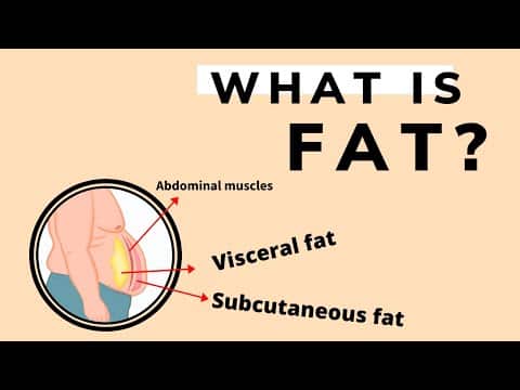 What is Fat