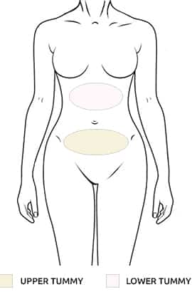 Abdomen